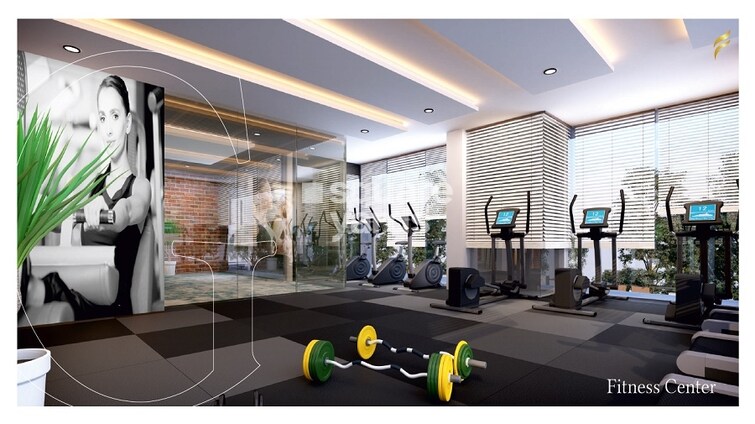 Vision Aristo Gymnasium Image