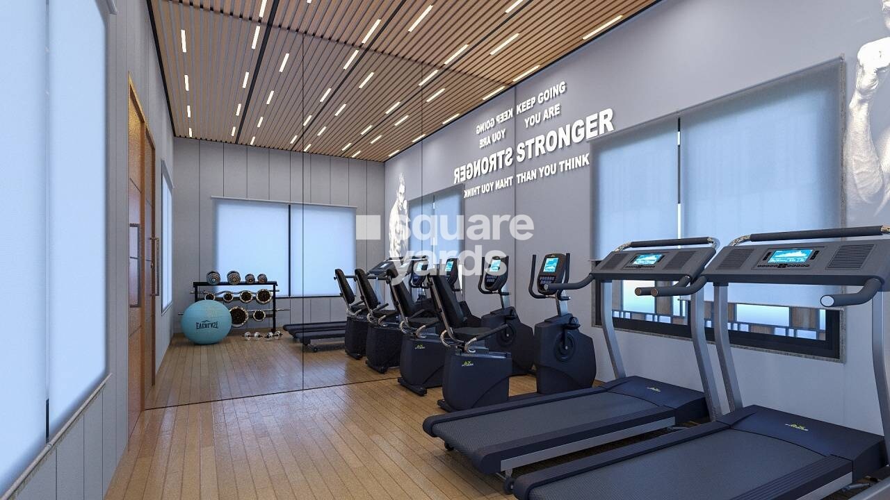 Vision Rhythm Gymnasium Image
