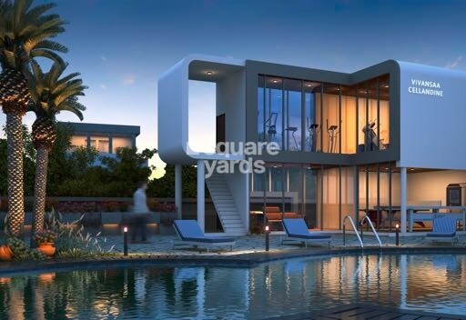 Vivansaa Cellandine Phase II