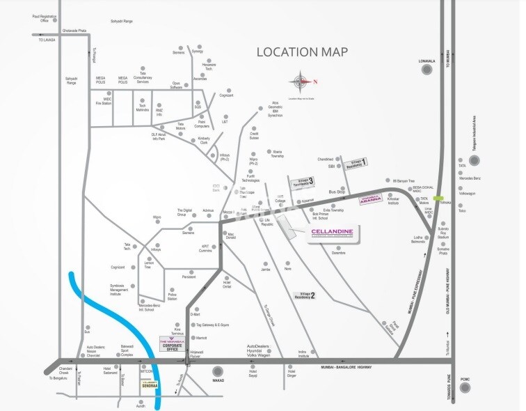 Vivansaa Cellandine Phase II