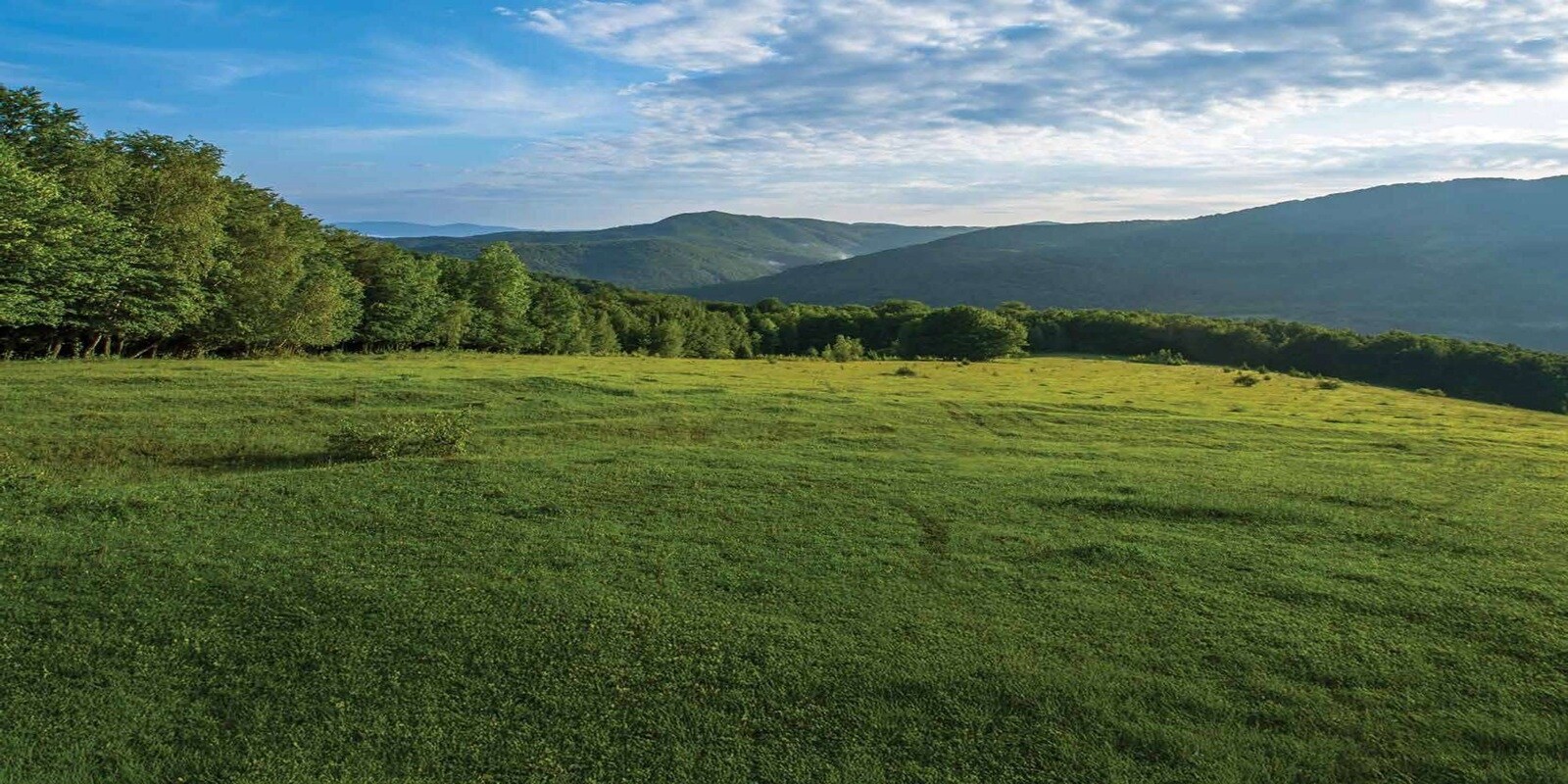 VSG Suraksha Enclave