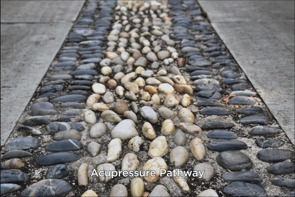 VTP Monarque Amenities-Features 6