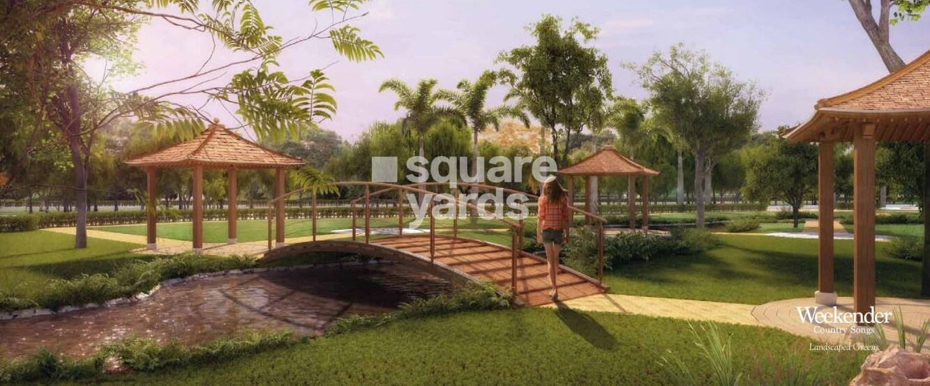 Weekender Country Songs