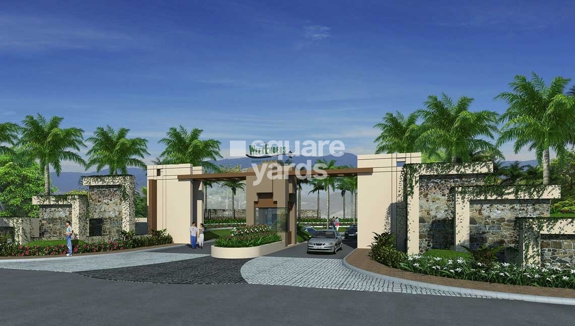 Weekenders Birds View