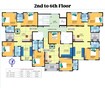 Whitestone Celestia Floor Plans