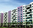 Winsome Orrchid city