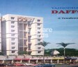 Yashodhan Daffodils