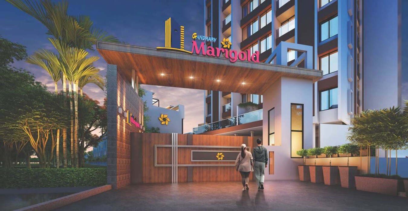 Yogesh Gandharv Marigold