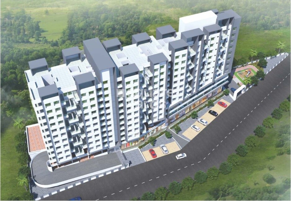 Zinnia Elegance Tower View
