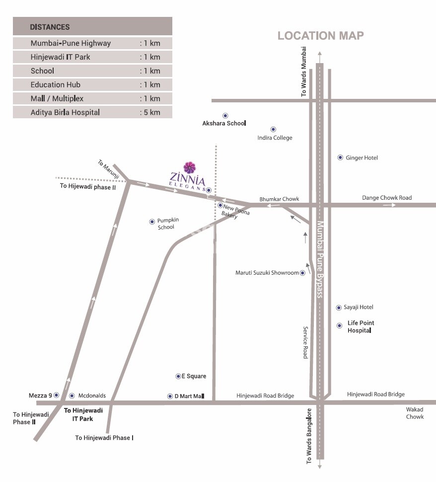 Zinnia Elegans Location Image