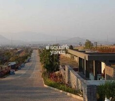 46 Banyan Tree, Chandkhed, Pune