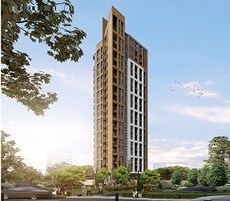 7 Anshul Featured Image