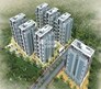 Alcon Renaissant Flagship Image
