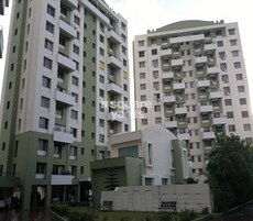 Amar Ornate Featured Image