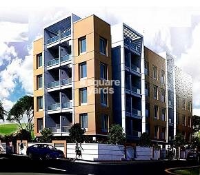 Amcon Orchids Featured Image