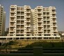 Amit Astonia Classic Flagship Image