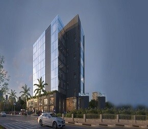 ANP Biz Square Video