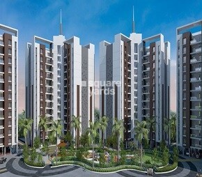 ARV New Town