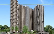 Ashapuri Tulsivan Featured Image