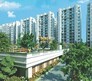 AWHO Vijay Vihar Flagship Image