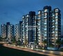 Axis Paradigm Whistling Meadows Flagship Image