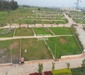 B U Bhandari Belleza