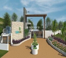 B U Bhandari Terra Nova Featured Image