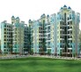 Balaji Paradise Flagship Image