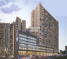 Basil Maximus Featured Image