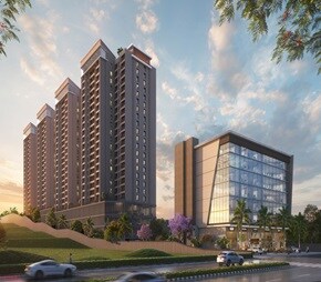 Basil Vrundavan Video