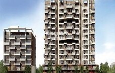 Bhoomi Allium Featured Image