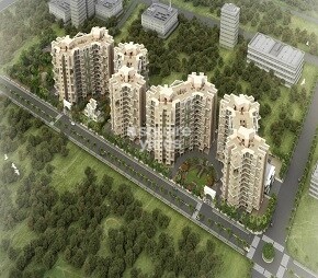 Bhoomi Orabelle