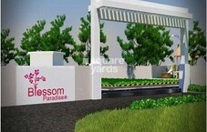 Blossom Paradise Featured Image