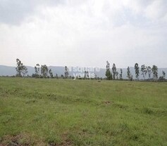 Blue Nile Halcyon, Shirwal, Pune
