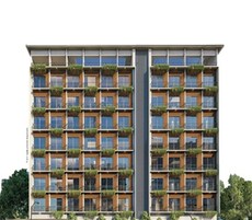 Blue Pearl 133 Orange Tree Featured Image