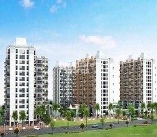 Calyx Earthen Life Featured Image