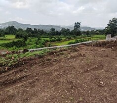 Castle Marigolds Valley, Khed Shivapur, Pune