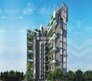 Cedrus Panache Flagship Image