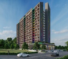 Chaphalkar Elina Lite Featured Image