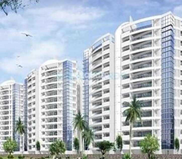 Clover Palisades Cover Image