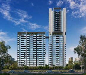 D And T Shivtoran CHS Video