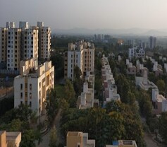 Daffodils Society, Somatane, Pune