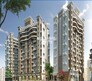 Dainamic Grandeur Flagship Image