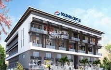 Dolphin Capital Featured Image