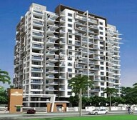 Dolphin Casa Grande Video