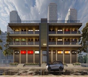 Dolphin Matrix Video