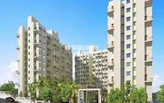 Earnest Aayush Park 2 Featured Image