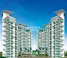 Ekta California Featured Image