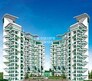 Ekta California Flagship Image