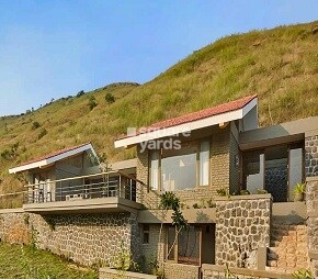 Enerrgia Skyi Wild Woods
